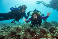 Oahu Shallow Reef Dive thumbnail 1