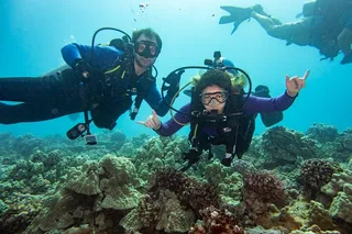 Oahu Shallow Reef Dive