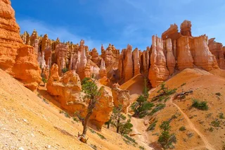 Las Vegas Zion & Bryce Canyon Day Tour