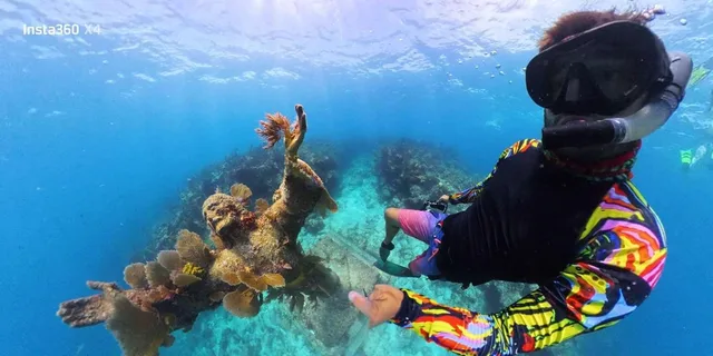 Key Largo Snorkeling and Scuba Reef Trip - Image 6