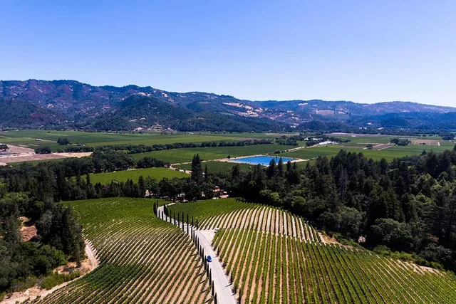 Napa Valley Wine Tour with Local Expert - Image 2