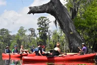 Manchac Swamp Kayak Tour with Pickup 4 hr thumbnail 1