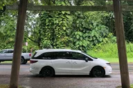 Hilo Volcanoes National Park Tour thumbnail 4