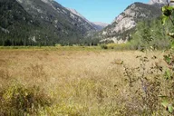 Estes Park Off-Road 4x4 Jeep Adventure thumbnail 4