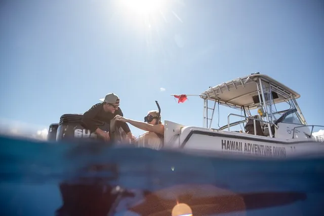 Hawaii Shark Dive - Image 5