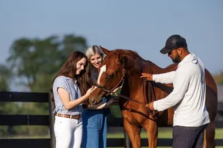 Louisville Bourbon and Horse Farm Tour