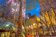 New York City Central Park Horse Carriage Tour thumbnail 6