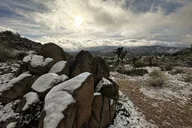 Joshua Tree National Park Self-Guided Audio Tour thumbnail 6