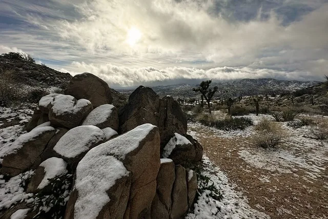 Joshua Tree National Park Self-Guided Audio Tour - Image 6