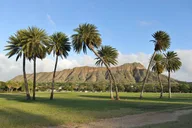 Honolulu Diamond Head Sunrise and Parasail Tour thumbnail 4