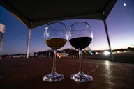 Fredericksburg Safari and Wine Tasting Tour thumbnail 6