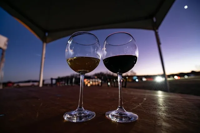 Fredericksburg Safari and Wine Tasting Tour - Image 6
