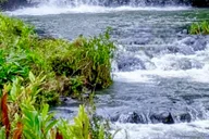 Maui Road to Hāna Sightseeing Tour thumbnail 1