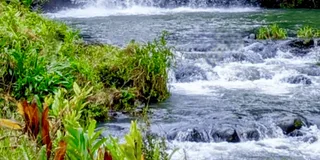 Maui Road to Hāna Sightseeing Tour