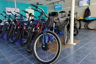 Sarasota E-Bike Rental Adventure thumbnail 2