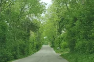 Louisville Bourbon & Derby Tour thumbnail 6