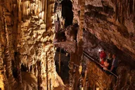 San Antonio Explorer Pass with 25+ Attractions thumbnail 6