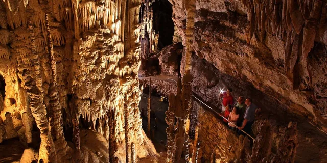 San Antonio Explorer Pass with 25+ Attractions - Image 6