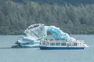 Anchorage Glaciers and Wildlife Day Tour thumbnail 3