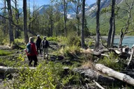Anchorage Valley and Forest Hike with Naturalist Guide thumbnail 5