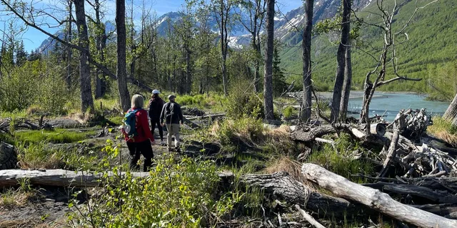 Anchorage Valley and Forest Hike with Naturalist Guide - Image 5