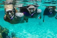 Pompano Beach Reef Snorkeling Tour thumbnail 1