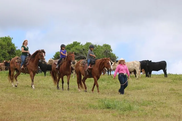 Laie Pony Rides for Kids 30 Min - Image 3