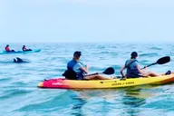 Virginia Beach Dolphin Kayak Tour thumbnail 2