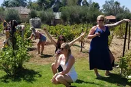 San Diego Vineyard Tour with Tastings thumbnail 1