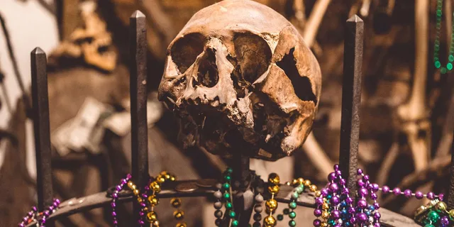 New Orleans Vampires, Voodoo, and Ghosts Tour - Image 2
