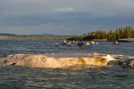 Yellowstone Lake Sunset Kayaking Tour thumbnail 2