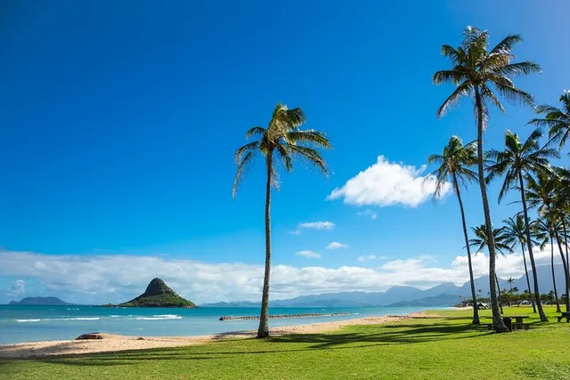 Oahu Island Tour: Dole, Snorkel & Pali Lookout - Image 6