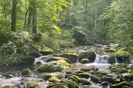Smoky Mountains Roaring Fork Sightseeing Jeep Tour thumbnail 1