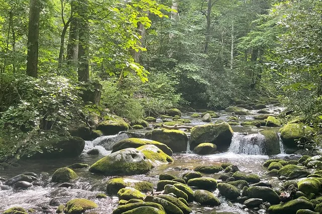 Smoky Mountains Roaring Fork Sightseeing Jeep Tour - Image 1