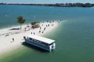 Clearwater Beach Dolphin and Island Sandbar Cruise thumbnail 3