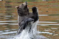 Sitka Scenic Tour thumbnail 6