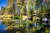 Oakhurst Mariposa Grove and Wawona Tour thumbnail 1