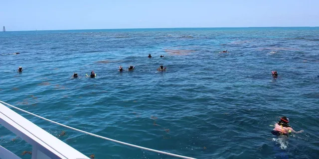Key West Coral Reef Snorkeling Tour with Open Bar - Image 4