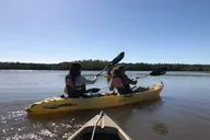 Everglades Boating, Kayaking, and Walking Eco Tour thumbnail 5