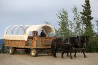Healy Horse-Drawn Wagon Ride with Dining 3 hr thumbnail 5