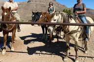 Las Vegas Horseback Ride in Joshua Tree Forest thumbnail 2
