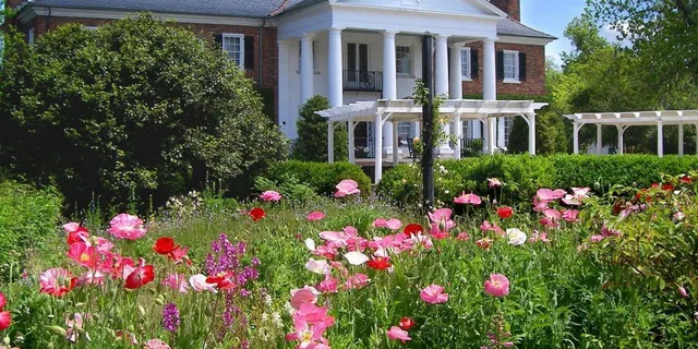 Charleston Boone Hall and Historic City Tour - Image 3
