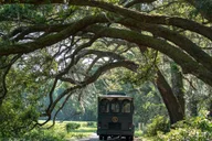 Charleston Wine Tasting and Tea Garden Tour thumbnail 2