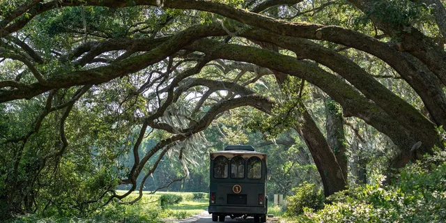 Charleston Wine Tasting and Tea Garden Tour - Image 2