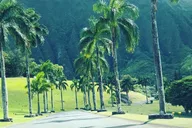 Oahu Circle Island Guided Tour thumbnail 5