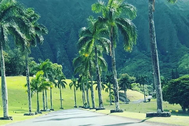 Oahu Circle Island Guided Tour - Image 5