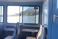 Juneau Mendenhall Glacier and Whale Watching Tour thumbnail 5