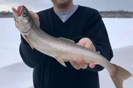 Fairbanks Ice Fishing Tour in Heated Cabin thumbnail 3