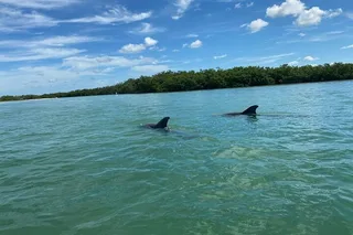Bonita Springs Kayak Tour on Big Hickory Pass