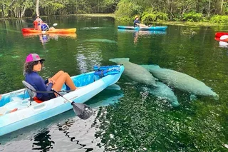 Silver Springs Kayak Rental